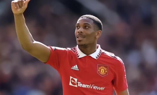 仅展示了两 仅展示了两